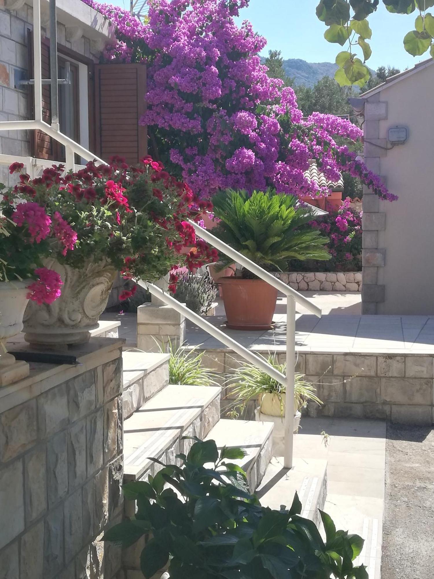 Villa Mali Raj Zaton  Buitenkant foto